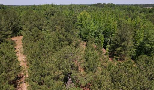 Photo #2 of Off Richland Drive, Pembroke, NC 3.3 acres