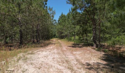 Photo #12 of Off Richland Drive, Pembroke, NC 3.3 acres