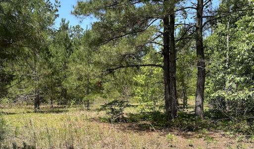 Photo #13 of Off Richland Drive, Pembroke, NC 3.3 acres