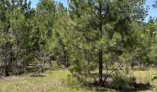 Photo #14 of Off Richland Drive, Pembroke, NC 3.3 acres