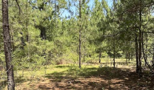 Photo #15 of Off Richland Drive, Pembroke, NC 3.3 acres