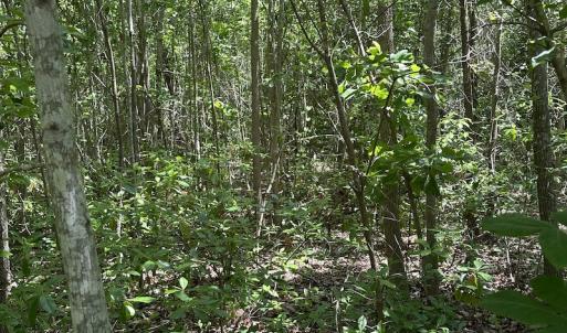 Photo #17 of Off Richland Drive, Pembroke, NC 3.3 acres