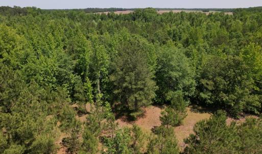 Photo #3 of Off Richland Drive, Pembroke, NC 3.3 acres