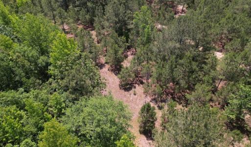 Photo #4 of Off Richland Drive, Pembroke, NC 3.3 acres