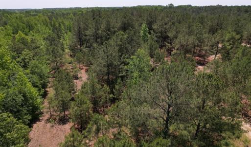 Photo #5 of Off Richland Drive, Pembroke, NC 3.3 acres