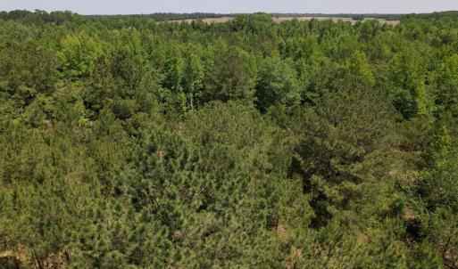 Photo #6 of Off Richland Drive, Pembroke, NC 3.3 acres