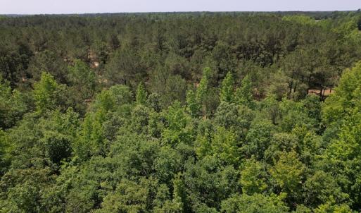 Photo #7 of Off Richland Drive, Pembroke, NC 3.3 acres