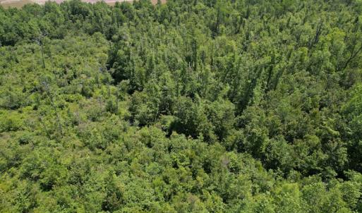Photo #8 of Off Richland Drive, Pembroke, NC 3.3 acres