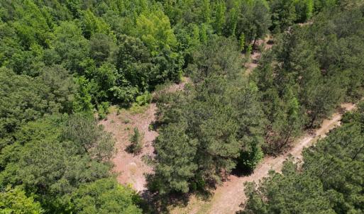 Photo #2 of Off Richland Drive, Pembroke, NC 3.5 acres