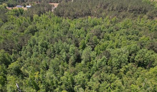 Photo #11 of Off Richland Drive, Pembroke, NC 3.5 acres