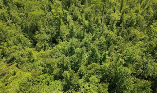 Photo #13 of Off Richland Drive, Pembroke, NC 3.5 acres