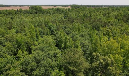 Photo #14 of Off Richland Drive, Pembroke, NC 3.5 acres