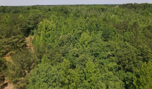 Photo #16 of Off Richland Drive, Pembroke, NC 3.5 acres