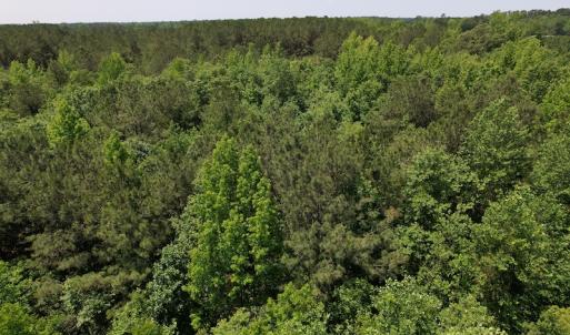 Photo #17 of Off Richland Drive, Pembroke, NC 3.5 acres