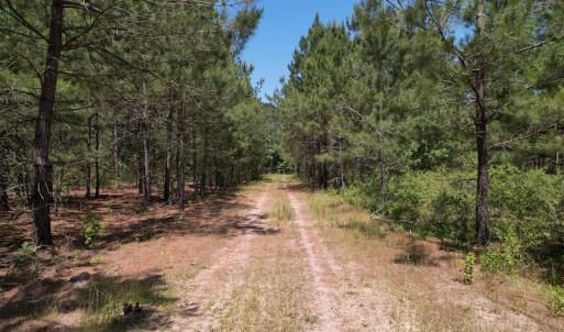 Photo #18 of Off Richland Drive, Pembroke, NC 3.5 acres