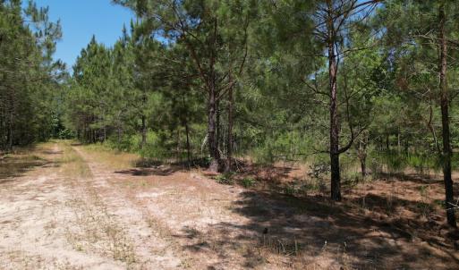 Photo #19 of Off Richland Drive, Pembroke, NC 3.5 acres