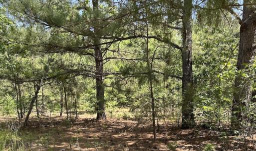 Photo #20 of Off Richland Drive, Pembroke, NC 3.5 acres