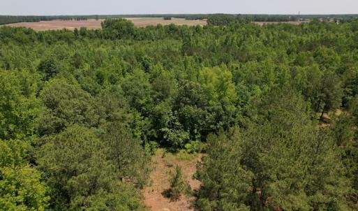 Photo #3 of Off Richland Drive, Pembroke, NC 3.5 acres