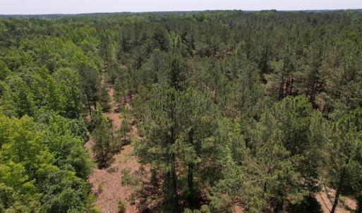 Photo #4 of Off Richland Drive, Pembroke, NC 3.5 acres