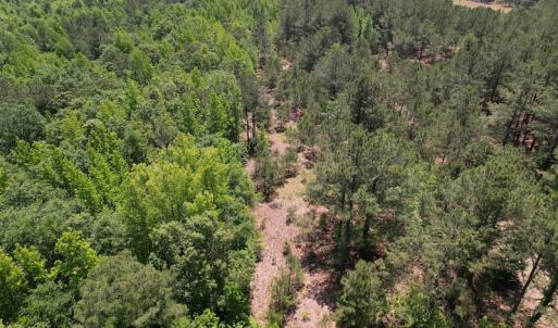 Photo #5 of Off Richland Drive, Pembroke, NC 3.5 acres