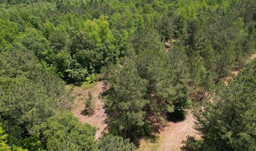Photo #6 of Off Richland Drive, Pembroke, NC 3.5 acres