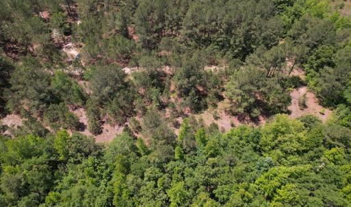 Photo #7 of Off Richland Drive, Pembroke, NC 3.5 acres
