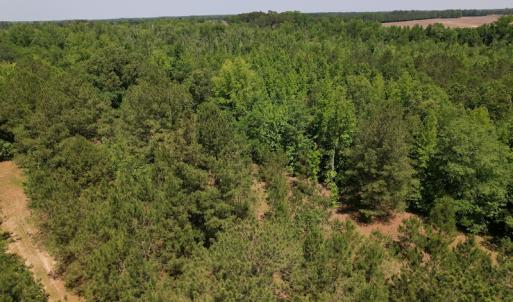 Photo #9 of Off Richland Drive, Pembroke, NC 3.5 acres