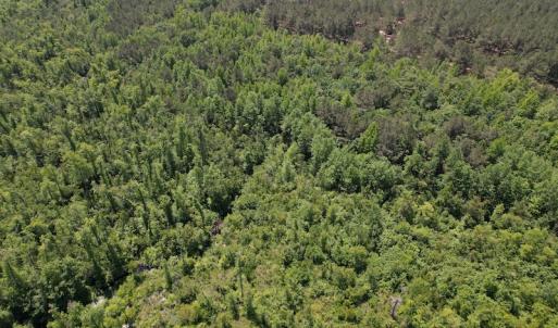 Photo #10 of Off Richland Drive, Pembroke, NC 3.5 acres