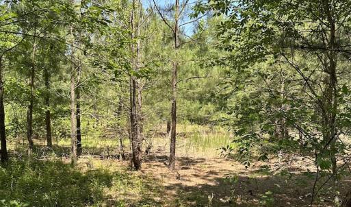 Photo #21 of Off Richland Drive, Pembroke, NC 3.5 acres