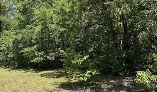 Photo #22 of Off Richland Drive, Pembroke, NC 3.5 acres