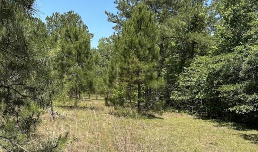 Photo #23 of Off Richland Drive, Pembroke, NC 3.5 acres