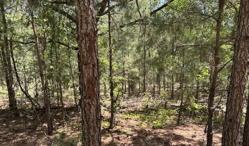 Photo #24 of Off Richland Drive, Pembroke, NC 3.5 acres