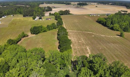 Photo #10 of SOLD property in Off Arrowhead Road, Dunn, NC 19.0 acres