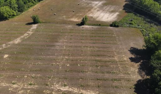 Photo #11 of SOLD property in Off Arrowhead Road, Dunn, NC 19.0 acres