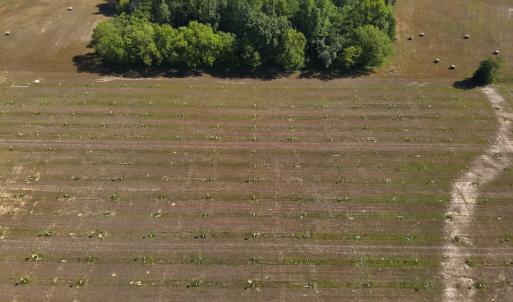 Photo #12 of SOLD property in Off Arrowhead Road, Dunn, NC 19.0 acres
