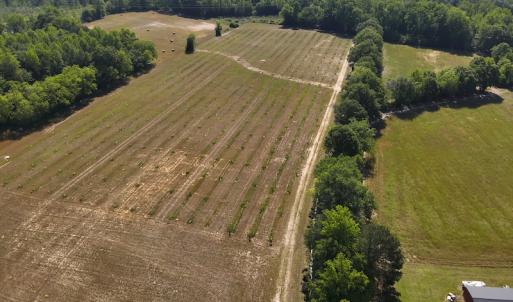 Photo #13 of SOLD property in Off Arrowhead Road, Dunn, NC 19.0 acres