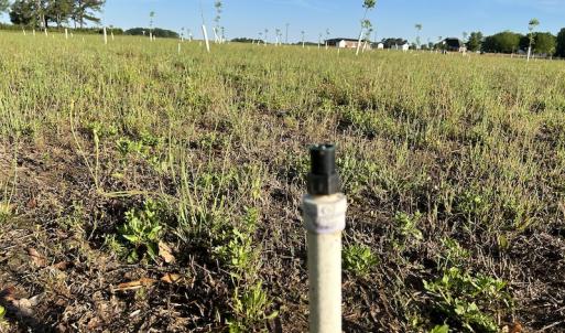 Photo #20 of SOLD property in Off Arrowhead Road, Dunn, NC 19.0 acres