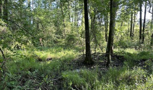 Photo #21 of SOLD property in Off Arrowhead Road, Dunn, NC 19.0 acres