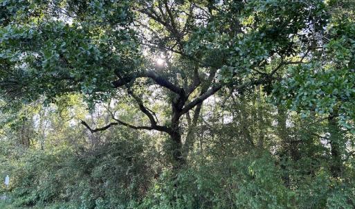 Photo #23 of SOLD property in Off Arrowhead Road, Dunn, NC 19.0 acres