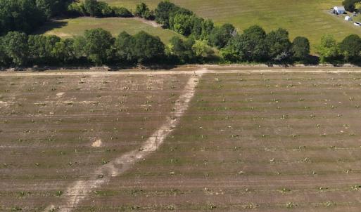 Photo #6 of SOLD property in Off Arrowhead Road, Dunn, NC 19.0 acres