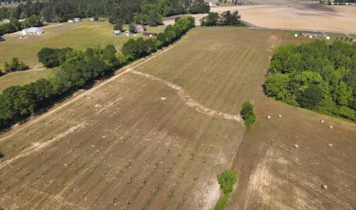Photo #7 of SOLD property in Off Arrowhead Road, Dunn, NC 19.0 acres