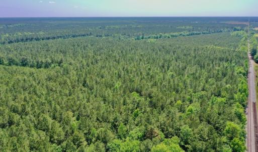 Photo #2 of 315 West Sycamore Street, Aulander, NC 40.0 acres