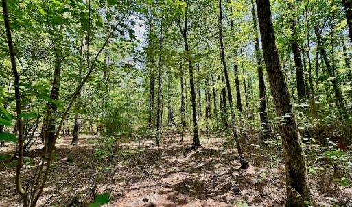 Photo #11 of 315 West Sycamore Street, Aulander, NC 40.0 acres
