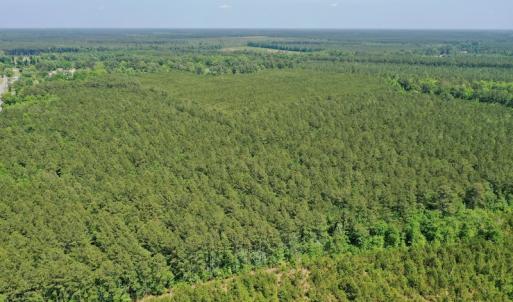 Photo #12 of 315 West Sycamore Street, Aulander, NC 40.0 acres