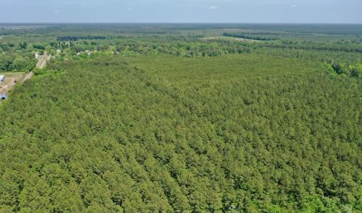 Photo #14 of 315 West Sycamore Street, Aulander, NC 40.0 acres