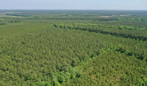Photo #16 of 315 West Sycamore Street, Aulander, NC 40.0 acres