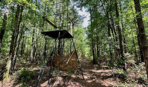 Photo #17 of 315 West Sycamore Street, Aulander, NC 40.0 acres