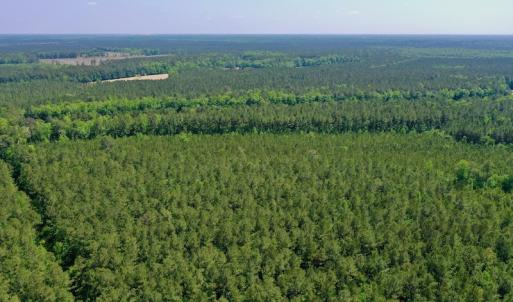 Photo #18 of 315 West Sycamore Street, Aulander, NC 40.0 acres