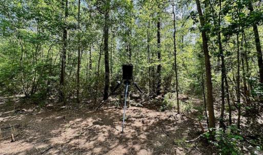 Photo #19 of 315 West Sycamore Street, Aulander, NC 40.0 acres