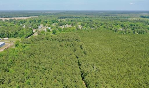 Photo #20 of 315 West Sycamore Street, Aulander, NC 40.0 acres